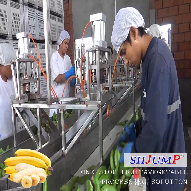 Linka na spracovanie banánového pyré